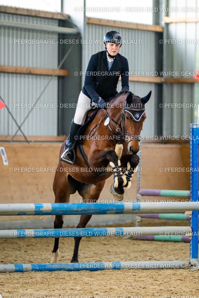 DSC00537 | Pferdegrafie