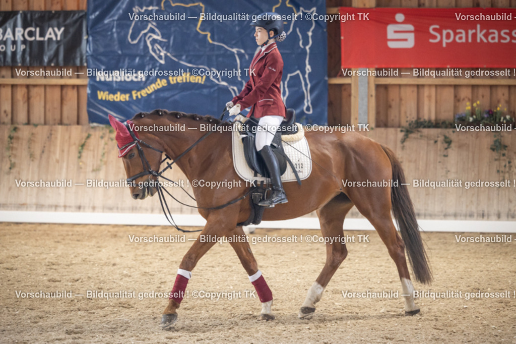 _D5A5629 | Emotionale Pferde- & People-Fotografie rund um Heidelberg, Leimen & Umgebung. Natürliche Fotos von Pferd, Mensch & Familie. Jetzt Termin sichern!