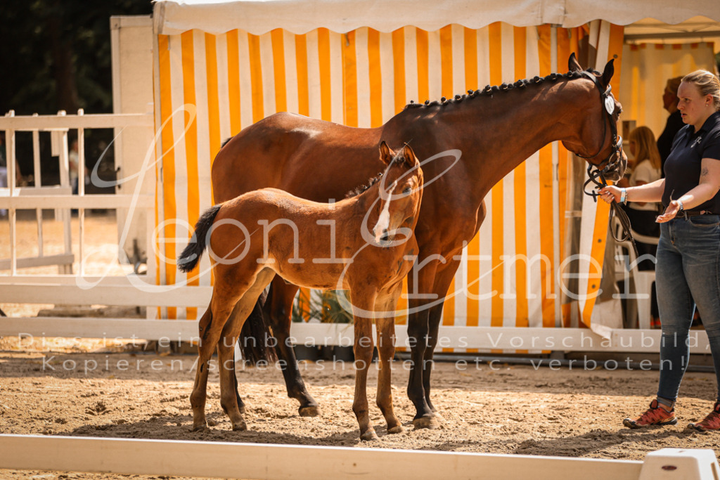 07.DoWBS00104 | Leoni Ertmer Photography - Realisiert mit Pictrs.com