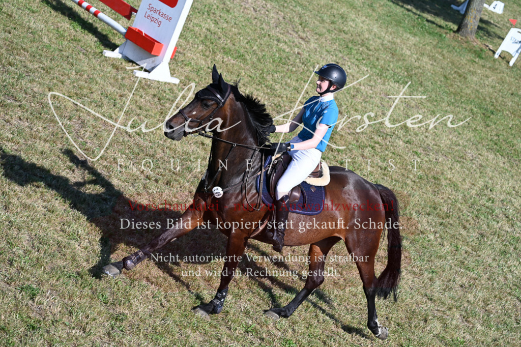 DSC_2364 | Pferde- und Turnierfotografie in Westsachsen. Pferdeportraits, Auftragszeichnungen und intuitive Kunst.