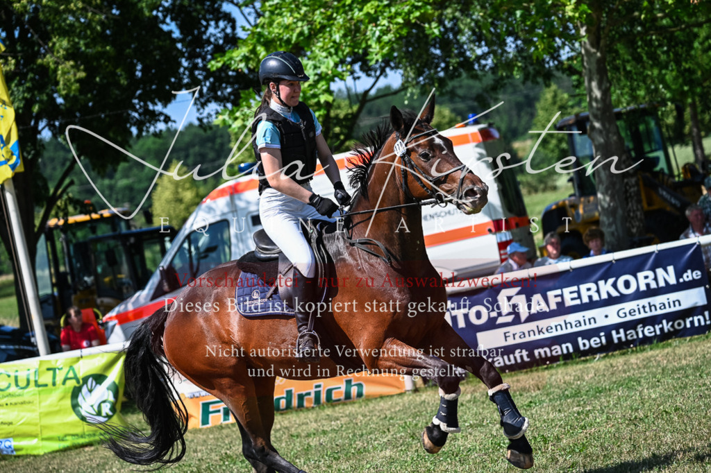 DSC_1485 | Pferde- und Turnierfotografie in Westsachsen. Pferdeportraits, Auftragszeichnungen und intuitive Kunst.