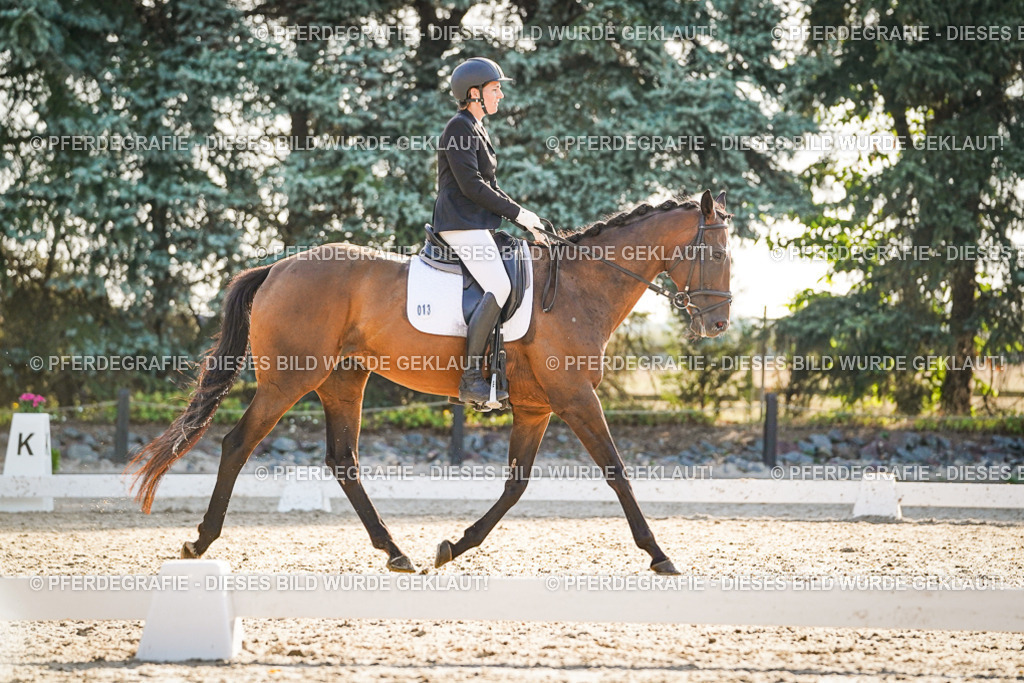 DSC08434 | Pferdegrafie