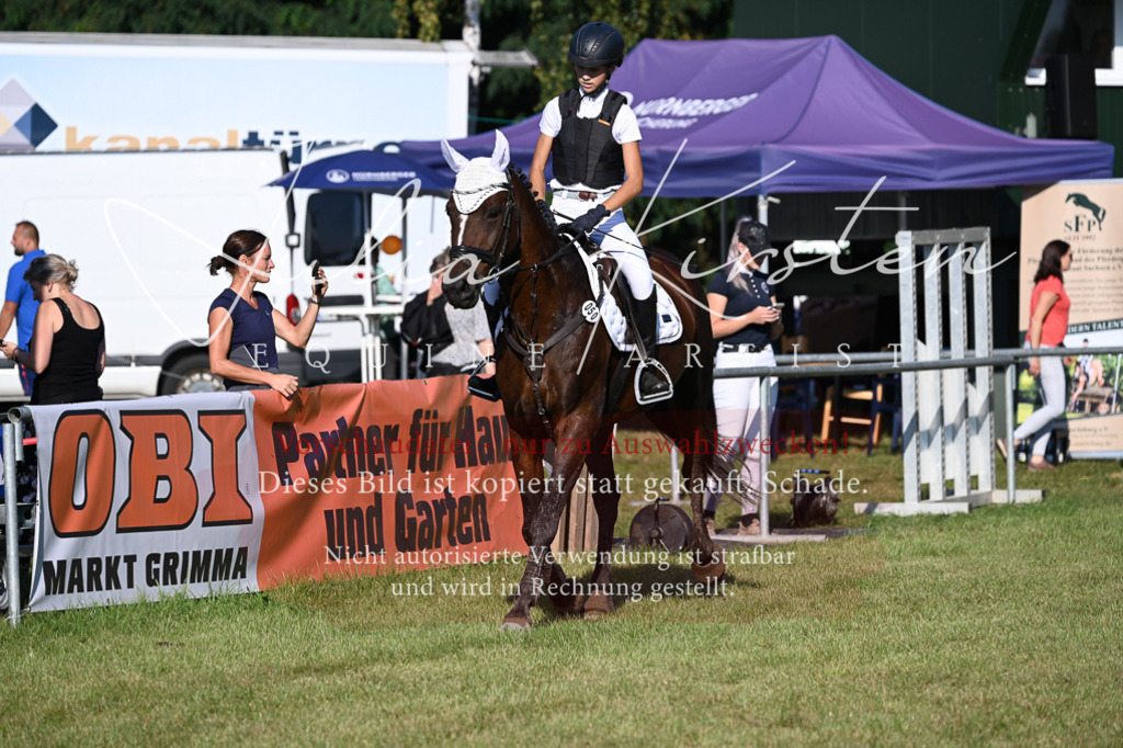 DSC_4922 | Pferde- und Turnierfotografie in Westsachsen. Pferdeportraits, Auftragszeichnungen und intuitive Kunst.