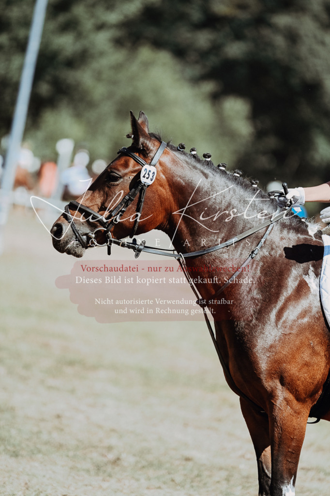 DSC_9892 | Pferde- und Turnierfotografie in Westsachsen. Pferdeportraits, Auftragszeichnungen und intuitive Kunst.