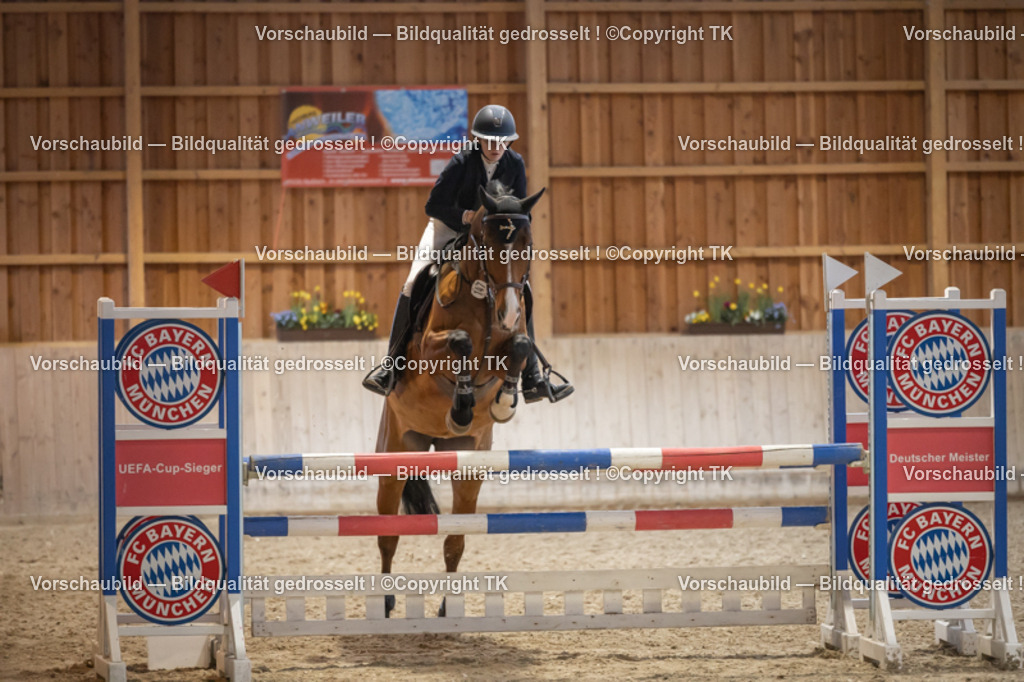 _D5A8517 | Emotionale Pferde- & People-Fotografie rund um Heidelberg, Leimen & Umgebung. Natürliche Fotos von Pferd, Mensch & Familie. Jetzt Termin sichern!