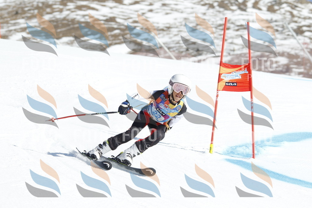 _U3G8900 | holidayphoto