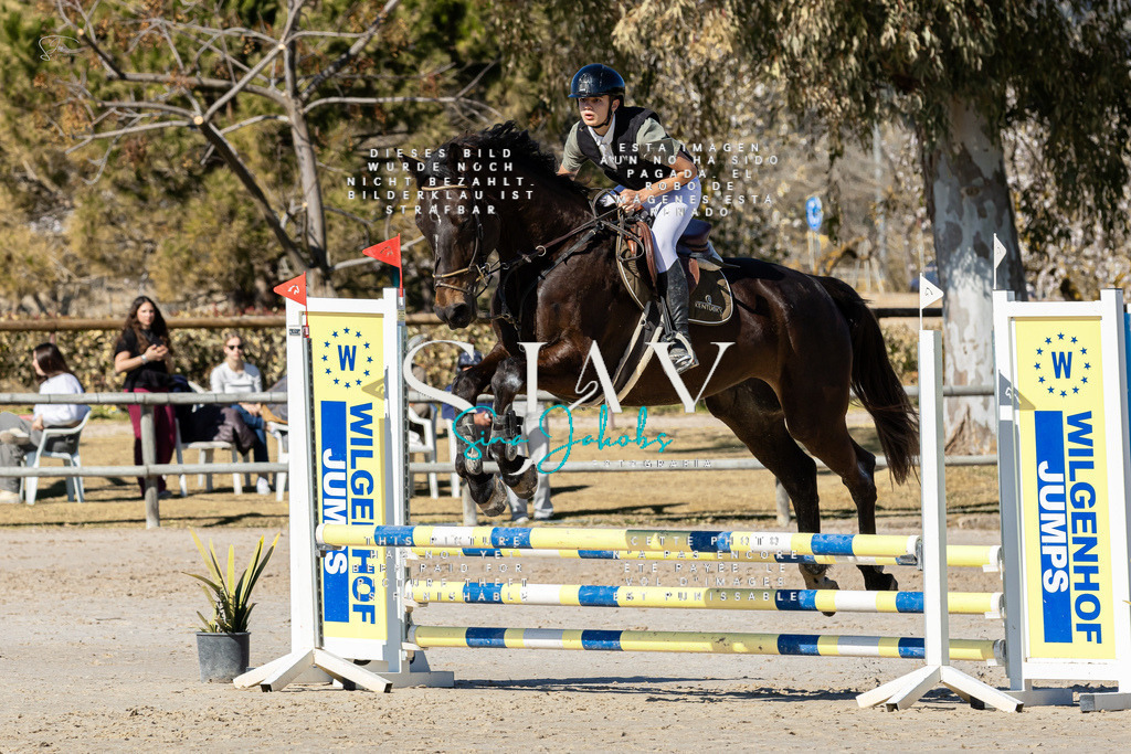 IMG_8970 | s-jay-photography - Realisiert mit Pictrs.com