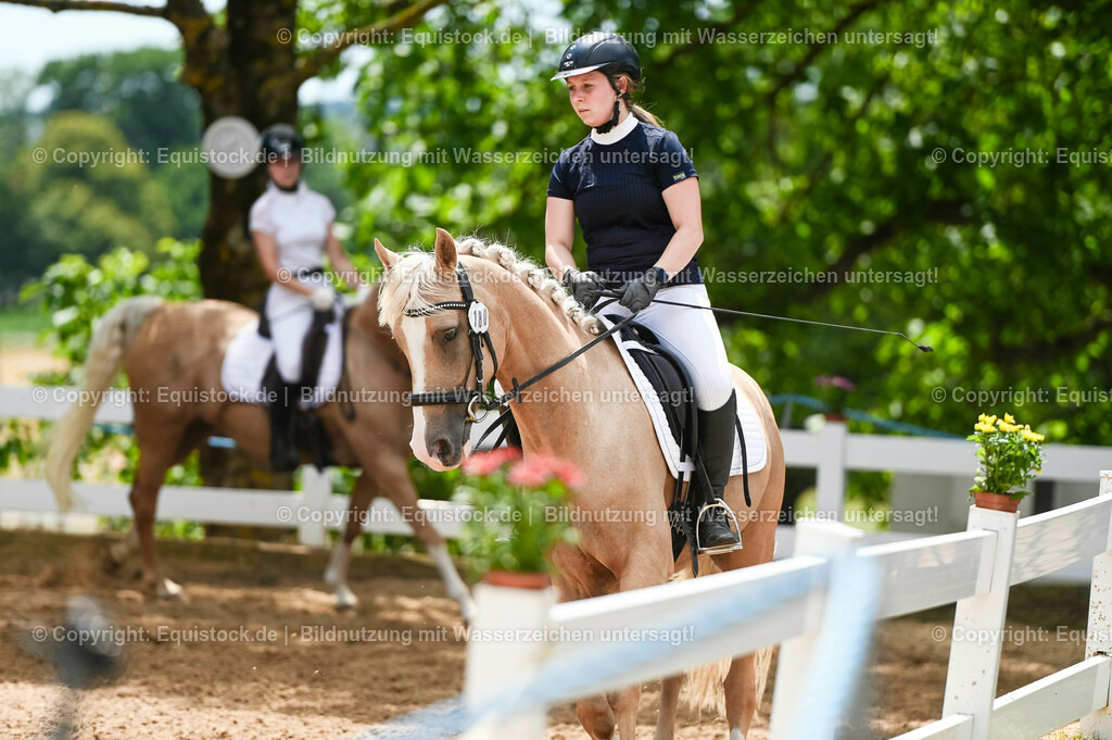 20230715_09_Dressur-WB_0537 | equistock