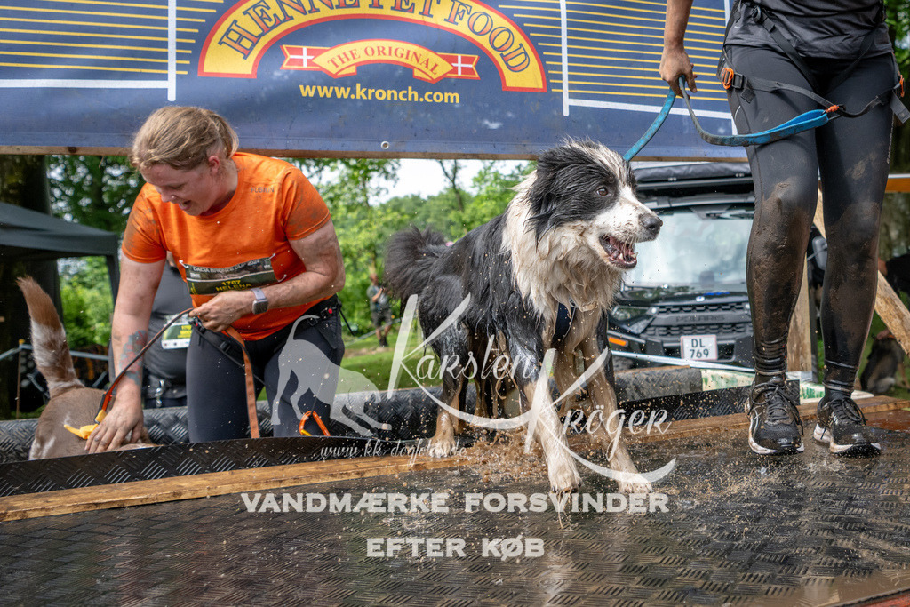 1036_ZZ91476 | kk-dogfotos