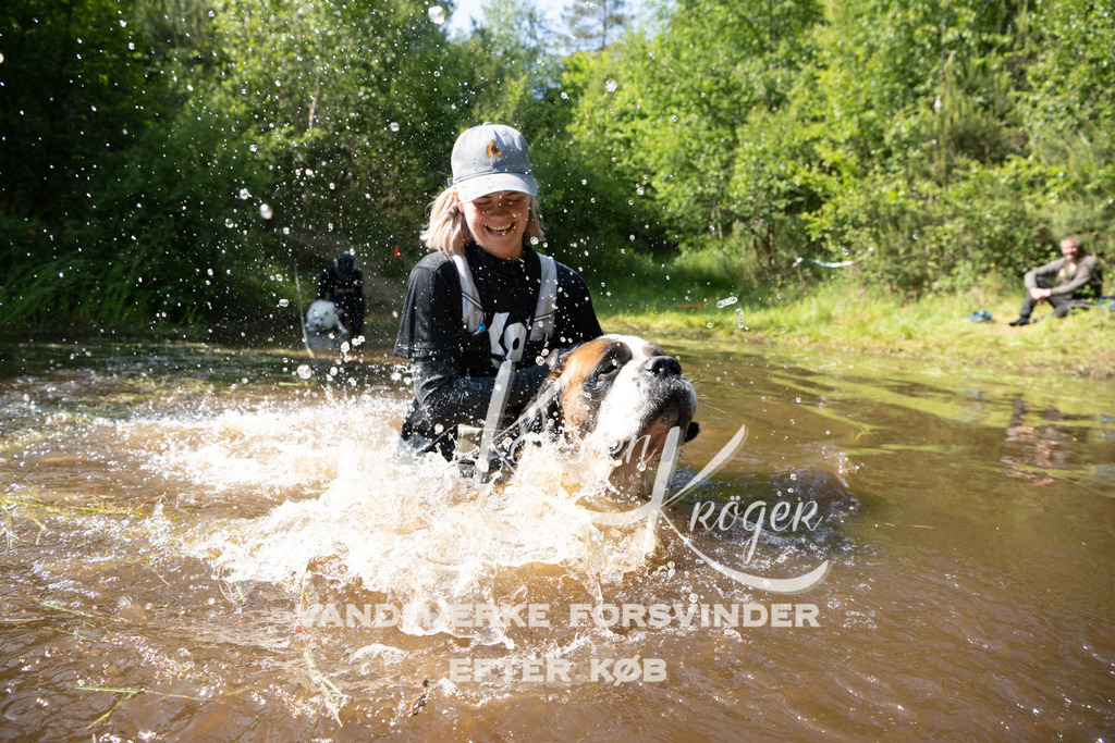1629DKK990702 | kk-dogfotos