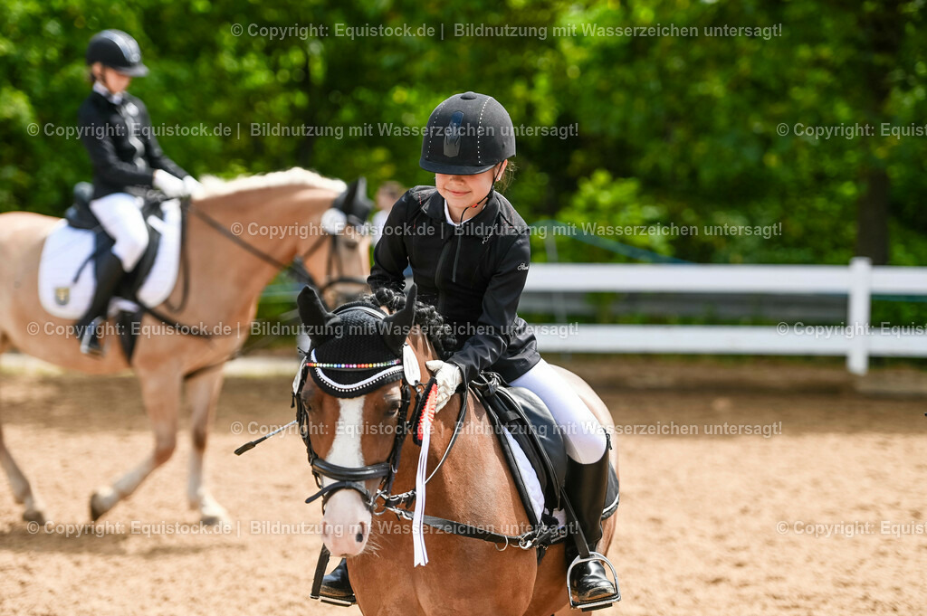 20230716_10-3_Reiter-WB Schritt - Trab - Galopp_0229 | equistock