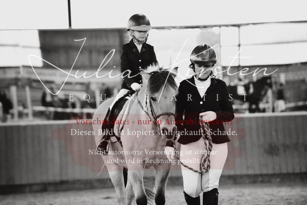 DSC_6841 | Pferde- und Turnierfotografie in Westsachsen. Pferdeportraits, Auftragszeichnungen und intuitive Kunst.