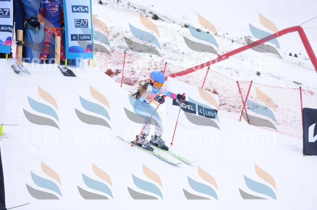 DSC_7909 | holidayphoto