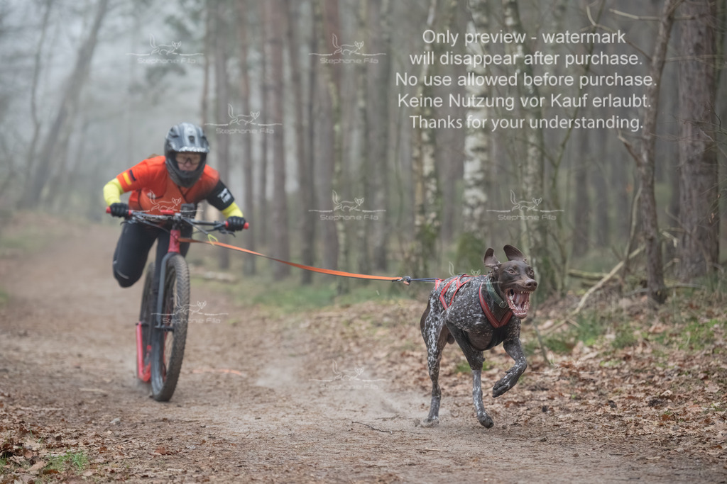 Scooter1-24 | stephaniefillaphotographie - Realisiert mit Pictrs.com