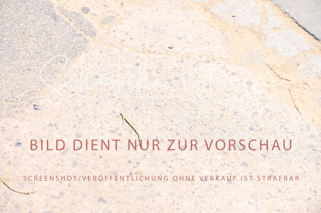 Schugtsche-Aluta25-53.Amat.Dressurprf.A2-376 | Schugtsche Fotografie - Realisiert mit Pictrs.com