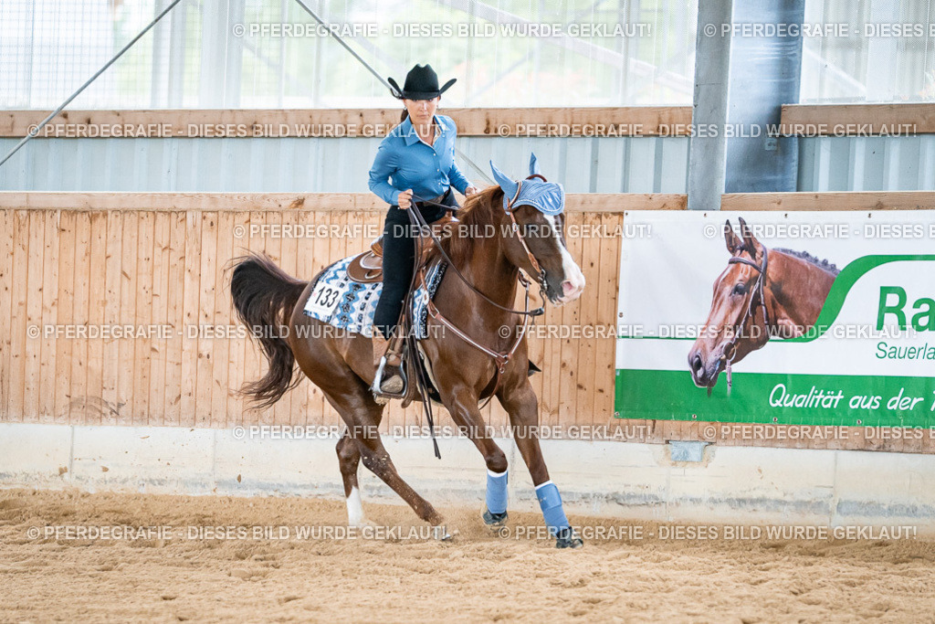 DSC08625 | Pferdegrafie