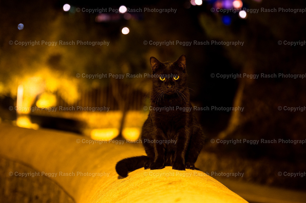 Specials | PeggyRaschPhotography - Realisiert mit Pictrs.com