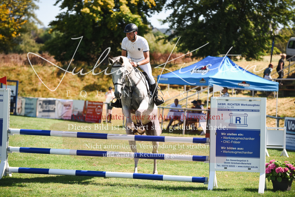 DSC_2695 | Pferde- und Turnierfotografie in Westsachsen. Pferdeportraits, Auftragszeichnungen und intuitive Kunst.