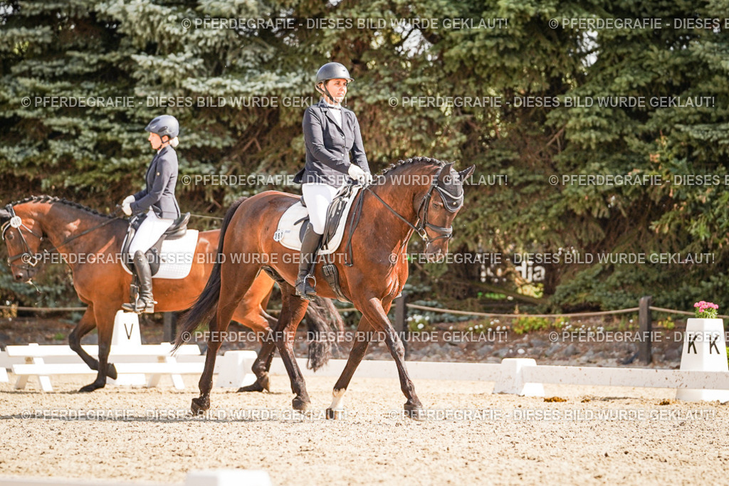 DSC00854 | Pferdegrafie