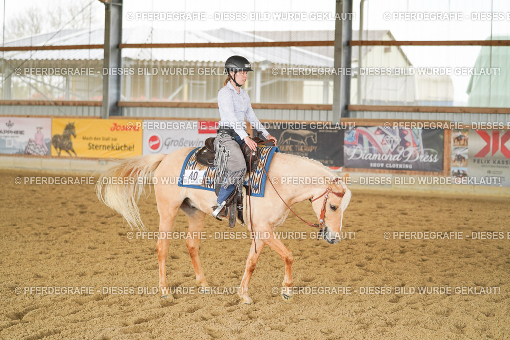 DSC03554 | Pferdegrafie