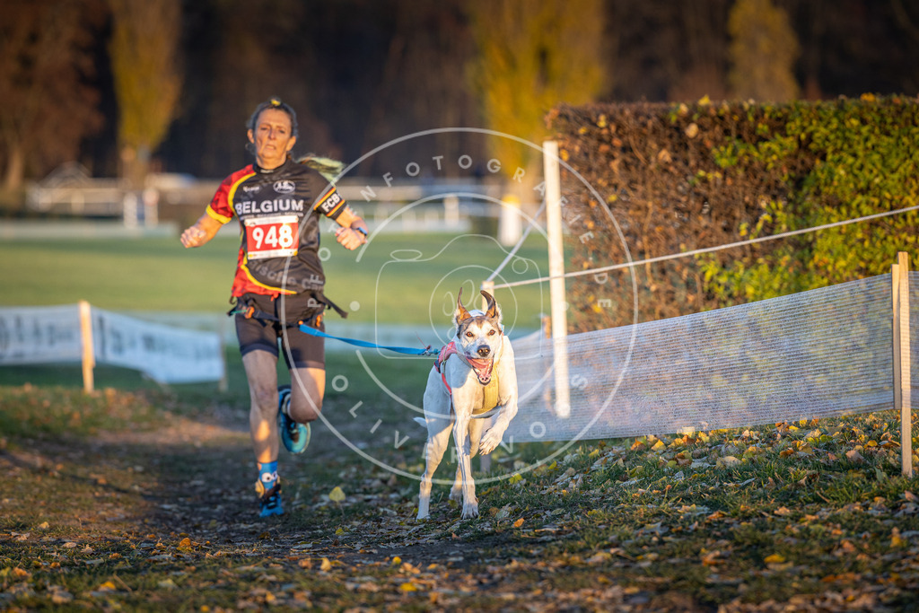 CaniXpix_DV3A5539 | Hundefotografie, Tierfotograf, Pfotenfotografie, Fotoshooting Hund, Hunde Portrait, Hundesport, Hundeportraits, Heideshooting, Hunde, Sportfotograf, Hundefotograf, Turnierhundsport, THS,  - Realisiert mit Pictrs.com