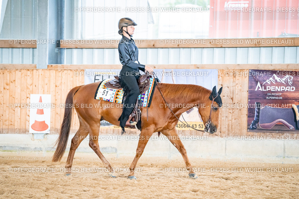 DSC02616 | Pferdegrafie