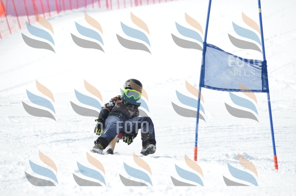 D9297 | holidayphoto