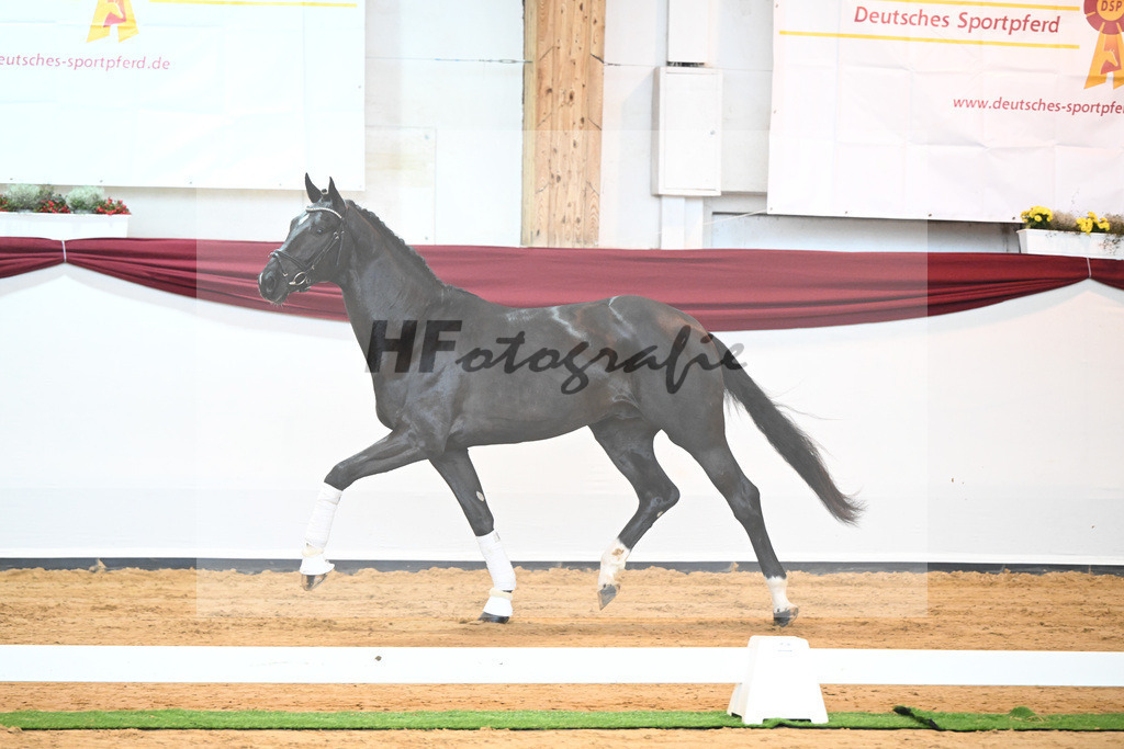 Kat-Nr. 22 v. Don Juan de Hus_Mueller_66220693 | hf-fotografie - Realisiert mit Pictrs.com