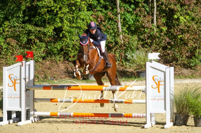 DKP42908 | Turniersportfotografie; Pferdefotografie; Dressurfotografie