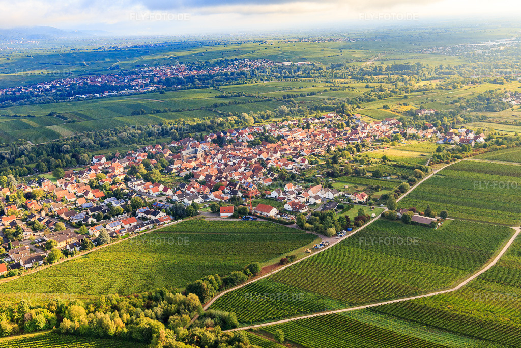 Luftbild: Ortsansicht von Süden im Ortsteil Arzheim in Landau im Bundesland Rheinland-Pfalz in Deutschland. Foto: IMG_103323.jpg vom 10.09.2017 durch Werner Riehm/FLY-FOTO.de