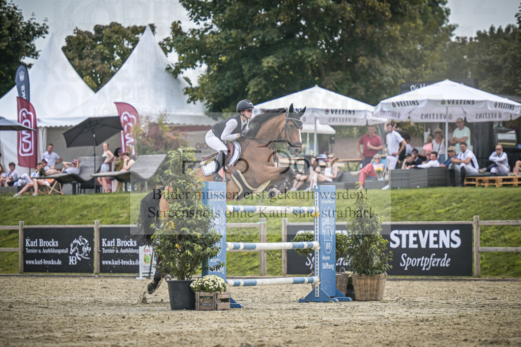DOS_1550 | Entdecke hochwertige Reitturnierfotos von Foto Oger. Professionell, emotional und authentisch – jetzt Lieblingsmomente im Shop bestellen.Deutschlandweite Turnierfotografie. - Realisiert mit Pictrs.com