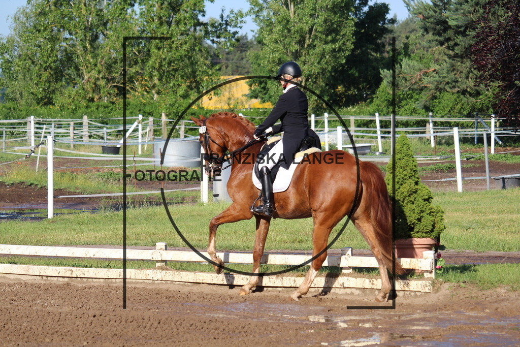 IMG_5749 | franziskalange - Realisiert mit Pictrs.com