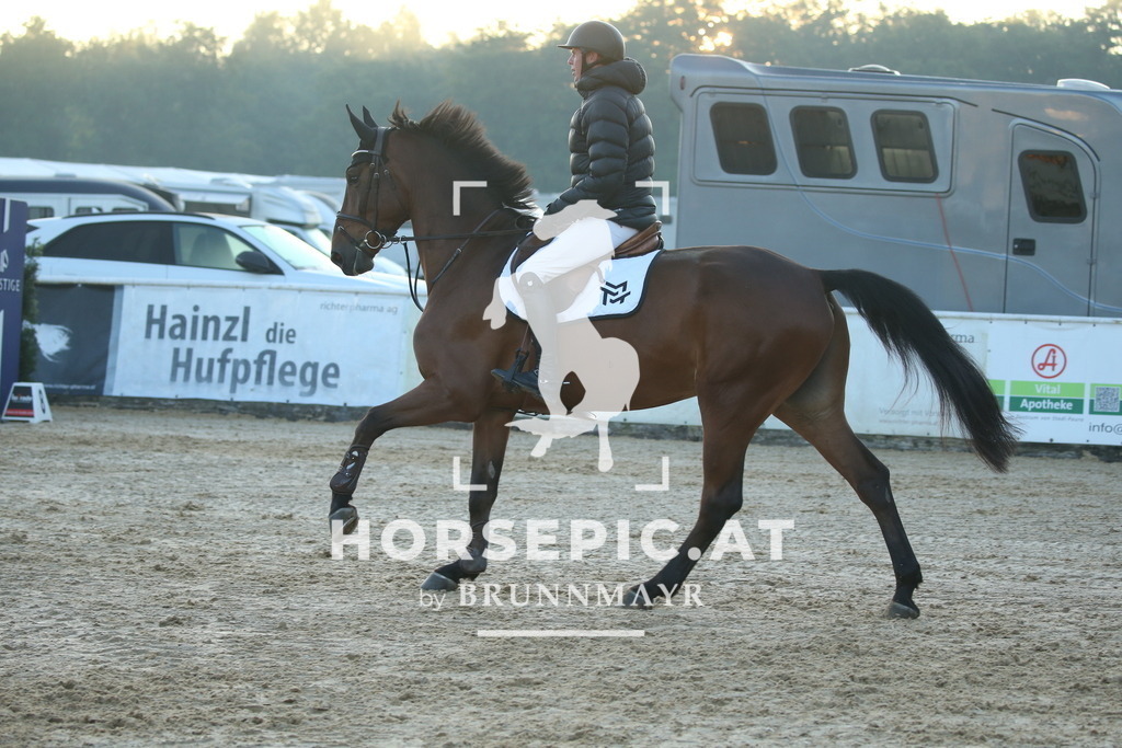 DL2Q0238 | Willkommen bei Brunnmayr - Design & Fotografie – Ihrem Spezialisten für Reitturniere und Pferdeveranstaltungen in Oberösterreich, Salzburg und Bayern! Seit über 17 Jahren sind wir leidenschaftlich dabei.