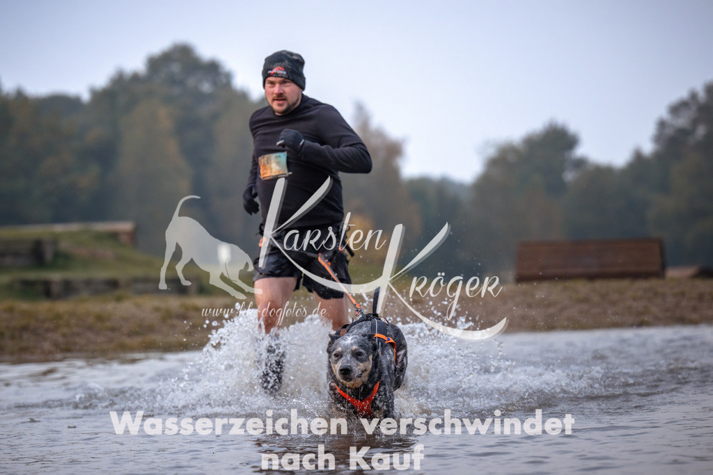 0818_ZZ91141 | kk-dogfotos