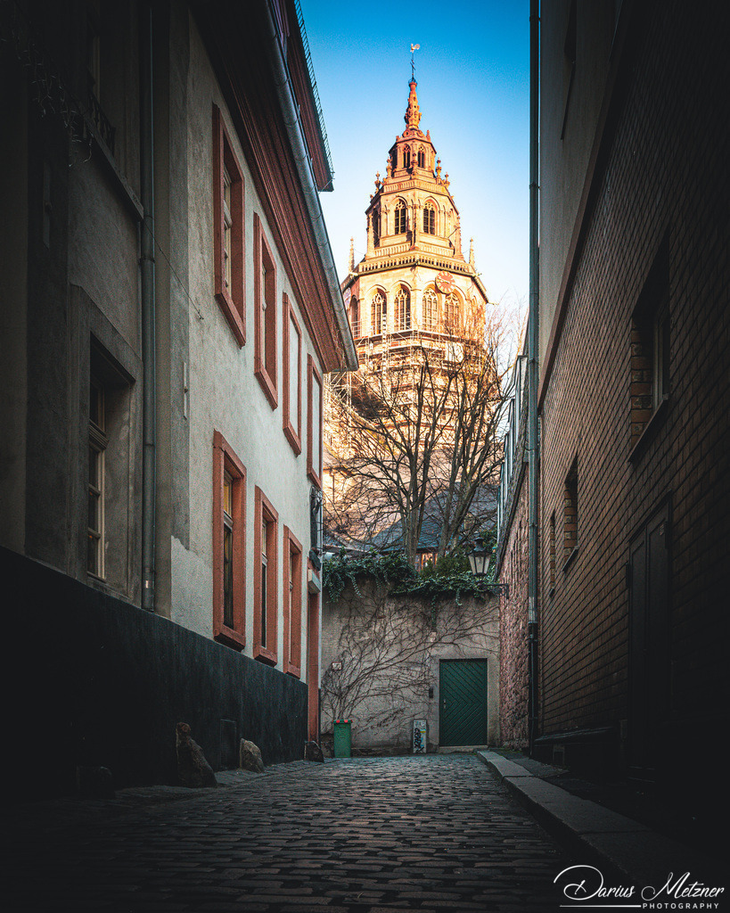 Der Mainzer Dom | Der Mainzer Dom