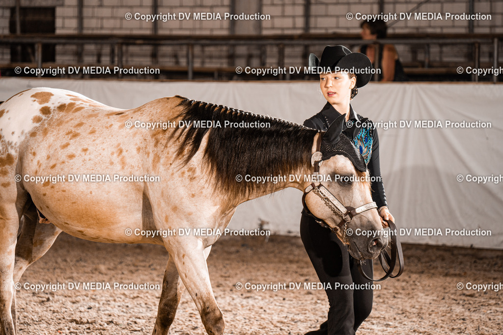 ZH200220 | dv-media-shop - Realisiert mit Pictrs.com