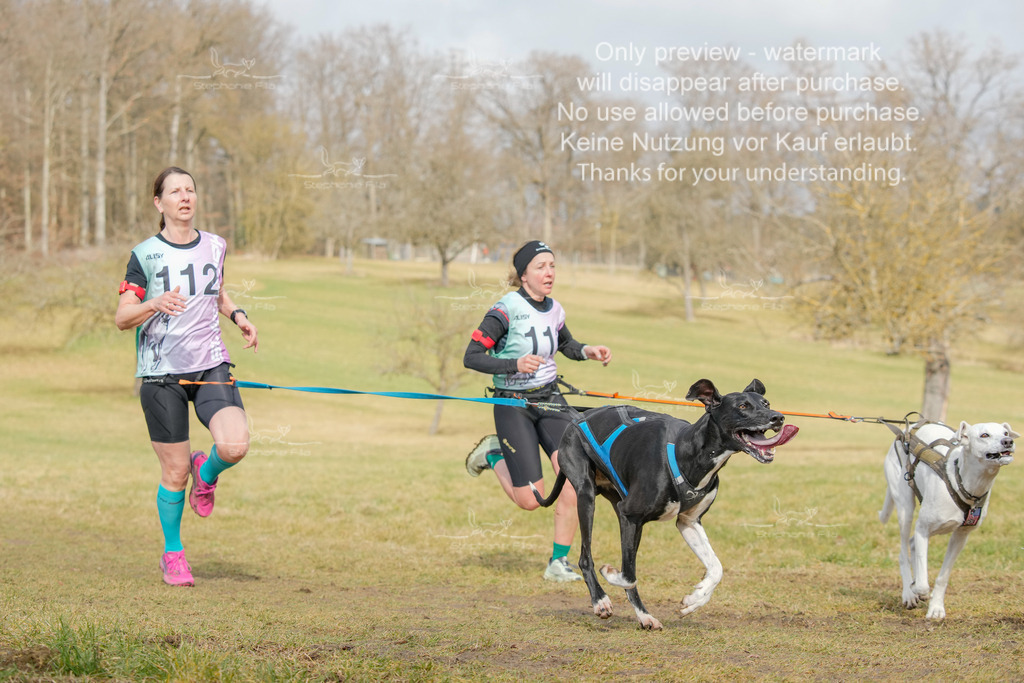 Sa_CC2-58 | stephaniefillaphotographie - Realisiert mit Pictrs.com