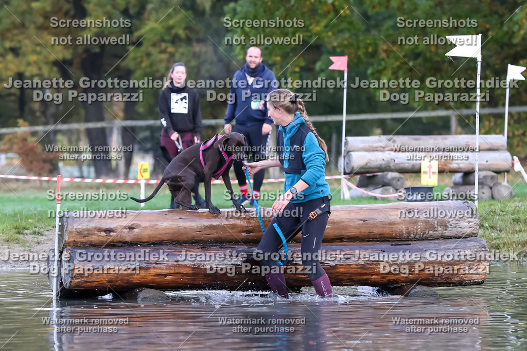 Dog Paparazzi - Strongdog 10-25-6544 | Dog Paparazzi Jeanette Grottendiek Fotografie & Videografie - Realisiert mit Pictrs.com