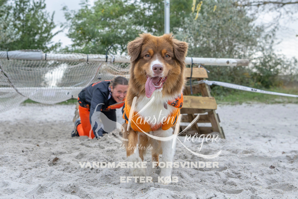 1123_ZZ96487 | kk-dogfotos