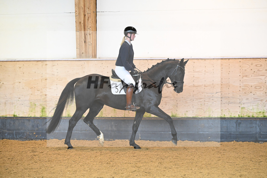 Kat-Nr. 5 Corwina US_Stahl_6222035 | hf-fotografie - Realisiert mit Pictrs.com