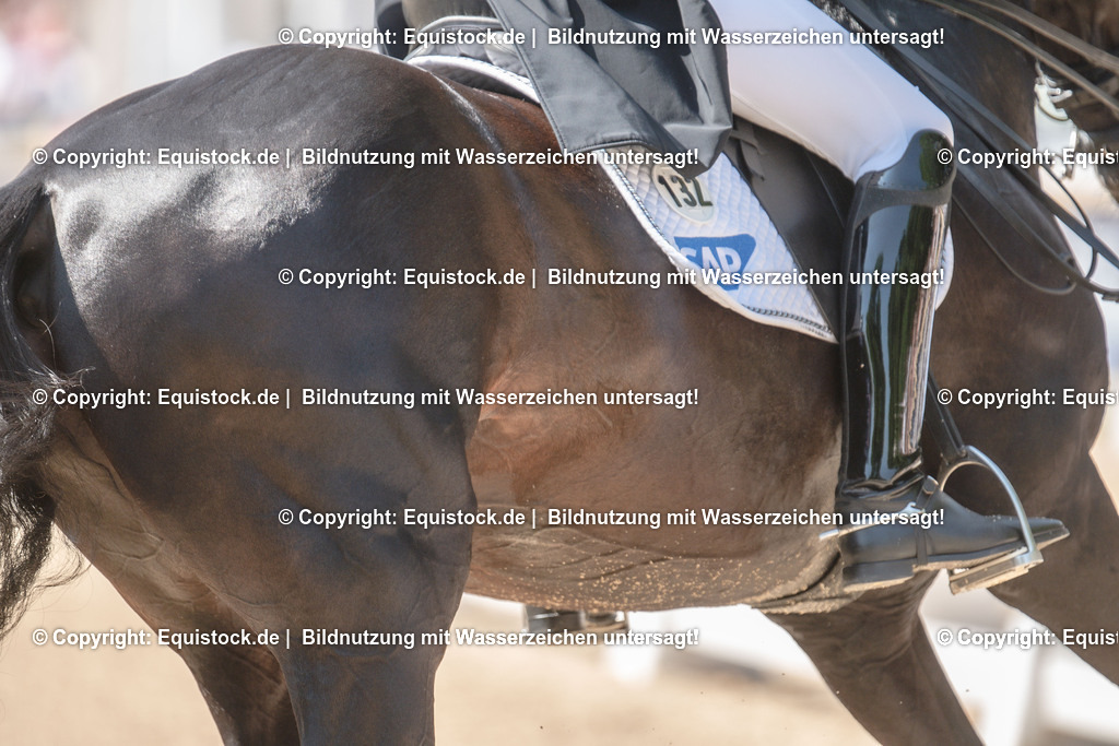 20230529_29_Louisdor_0050 | equistock