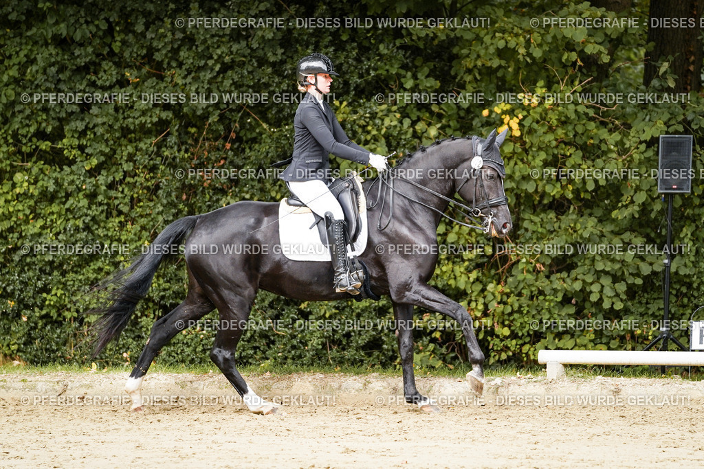 DSC03523 | Pferdegrafie