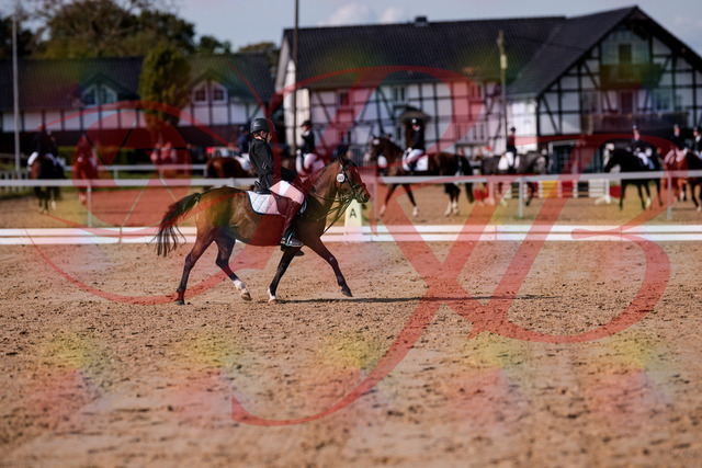 2026_10_03_Siefer-Hof_122238_Z81_21794320 | Professionelle Reitsport-, Turnier- und Eventfotografie von Robert Broda. Galerien mit ausgewählten und bearbeiteten Bildern direkt online ansehen und bestellen.