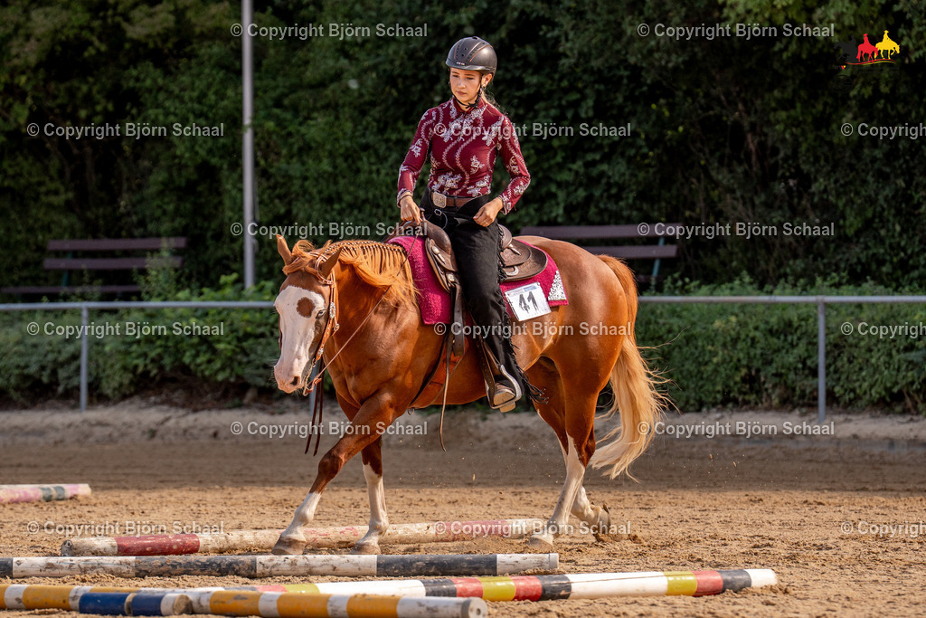 LMS07869 | BS-foto