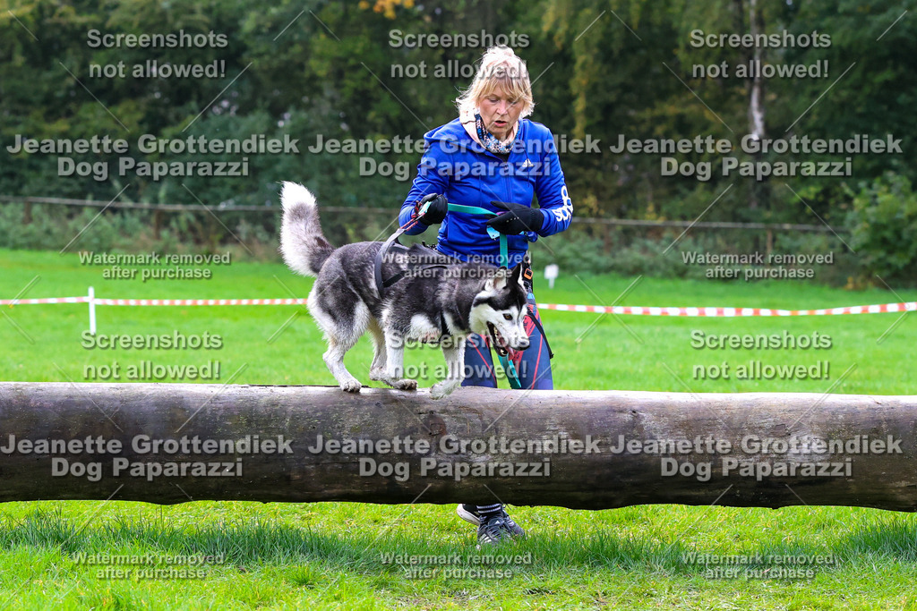 Dog Paparazzi -  SD1026-1919 | Dog Paparazzi Jeanette Grottendiek Fotografie & Videografie - Realisiert mit Pictrs.com