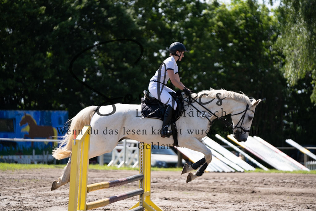 A7V03418 | Pferdefotograf