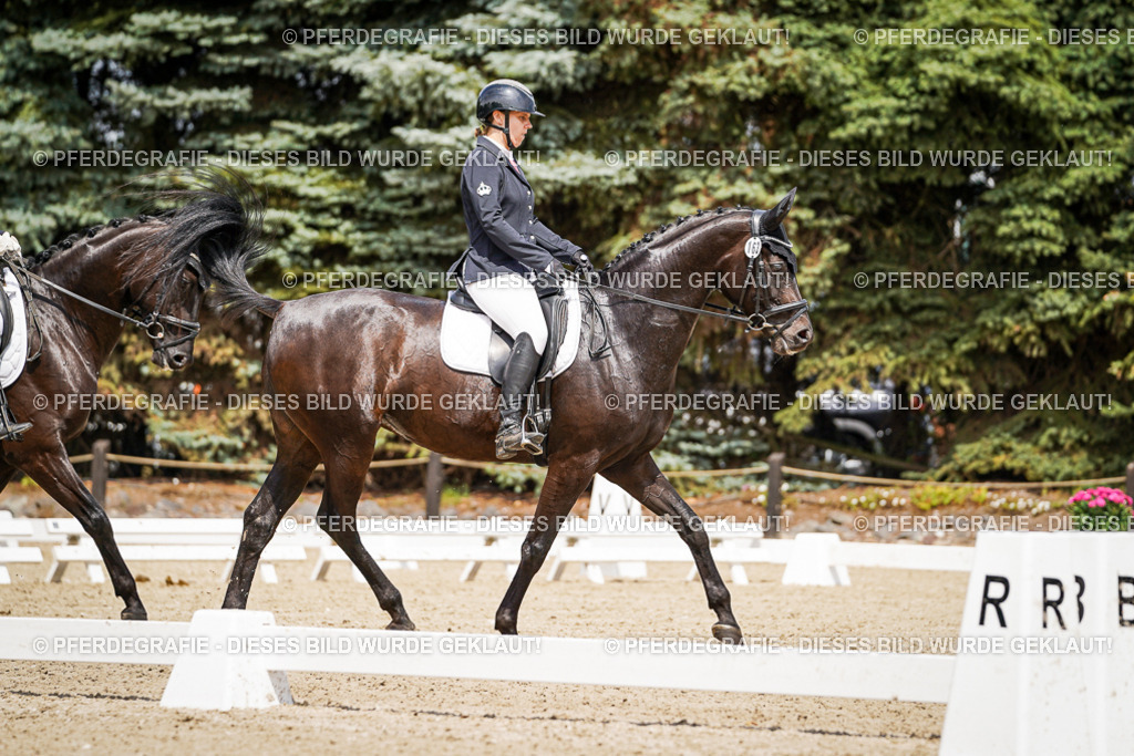 DSC02743 | Pferdegrafie