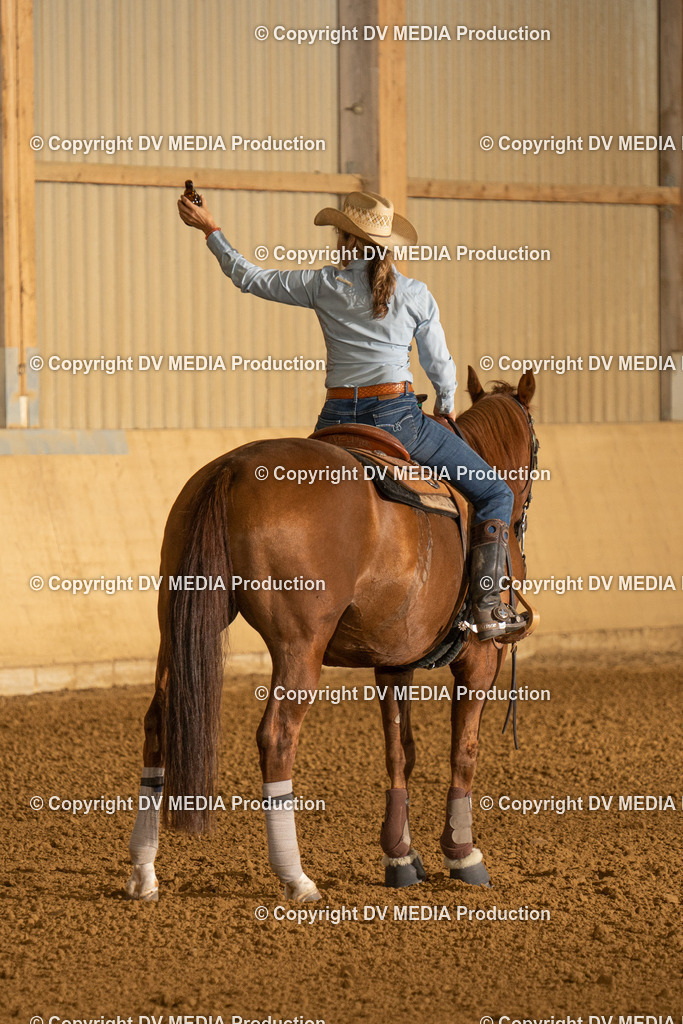 LAU00025 | dv-media-shop - Realisiert mit Pictrs.com