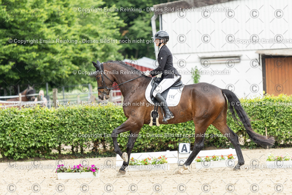 CL5A1446 | Emilia Reinking Fotografie - Realisiert mit Pictrs.com