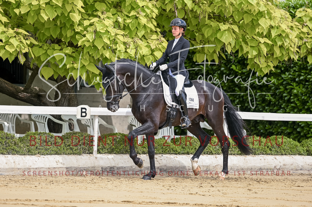 Schugtsche-Aluta25-48.Reitpferfdeprf.-86 | Schugtsche Fotografie - Realisiert mit Pictrs.com
